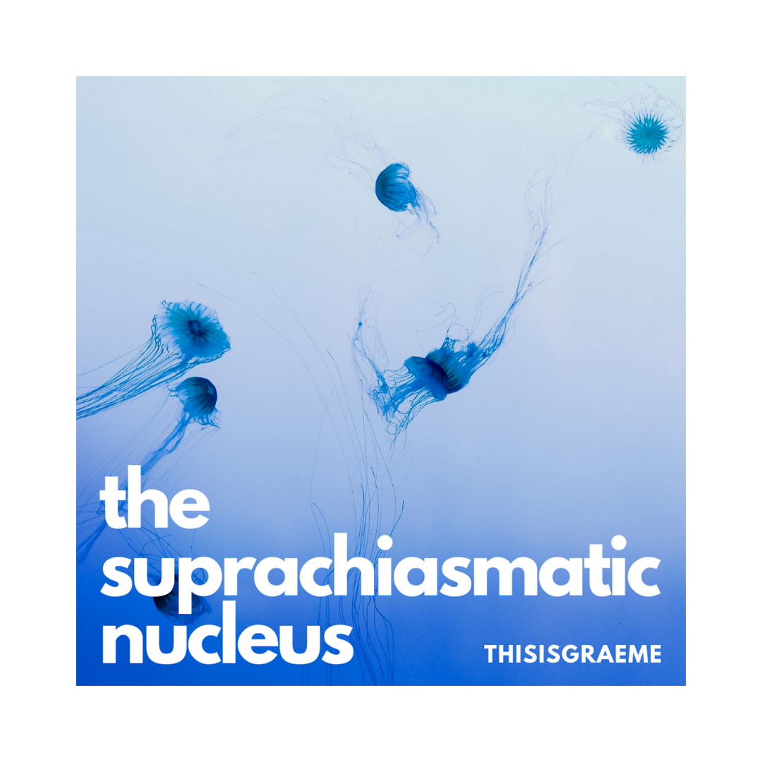 The Suprachiasmatic Nucleus – by THISISGRAEME Out Now On All Streaming Media