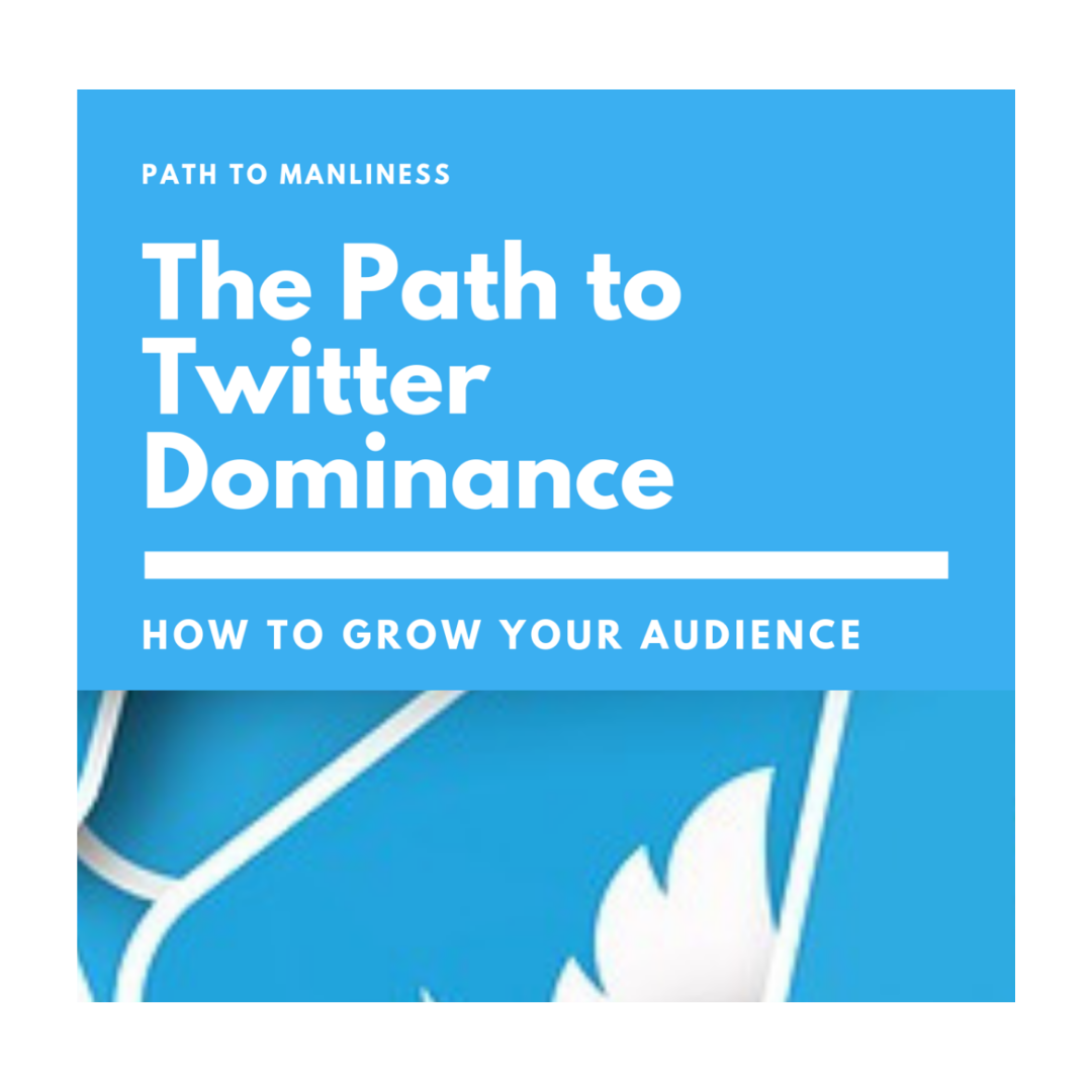 How can I use Twitter to grow my audience and sell stuff?