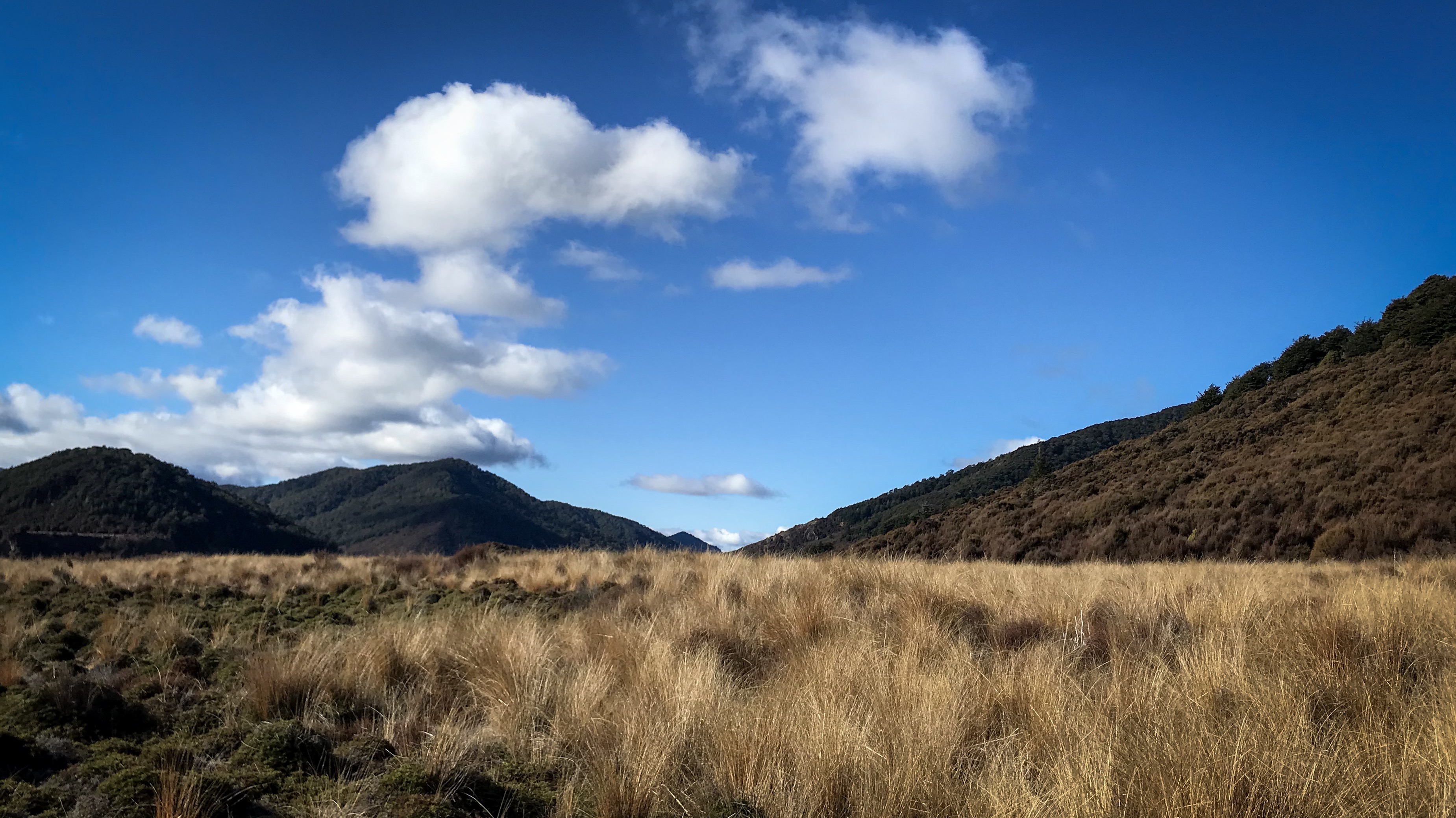 Two Days at Te Whare Ruruhau: A Taste of Wild Perfection