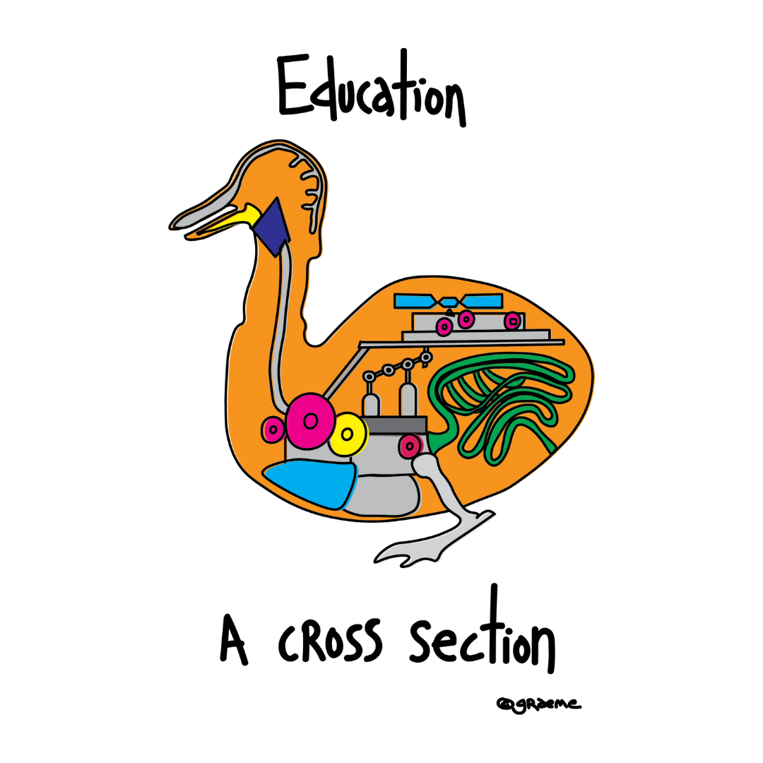 Where are the new models of education?