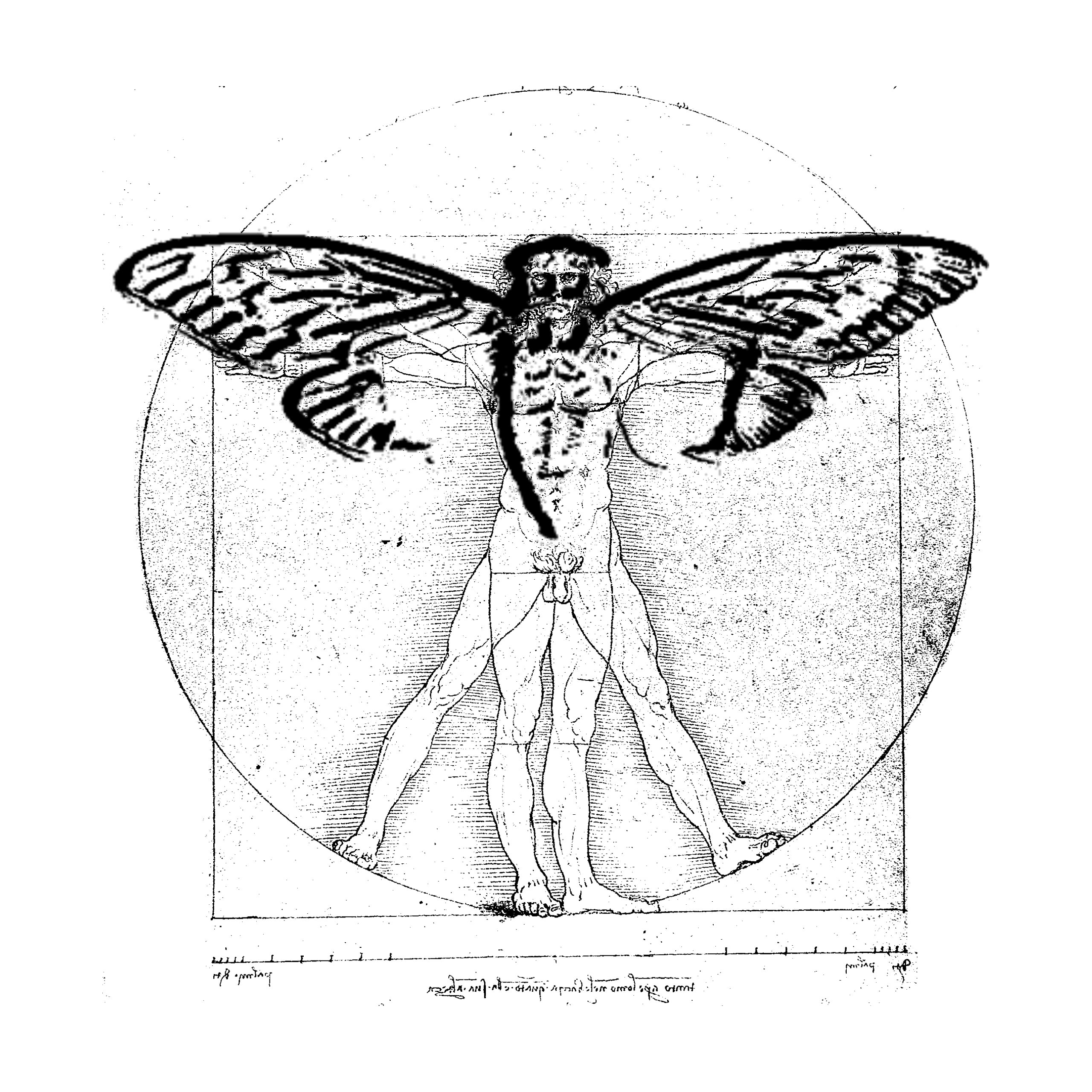 Which way, Vitruvian Man?