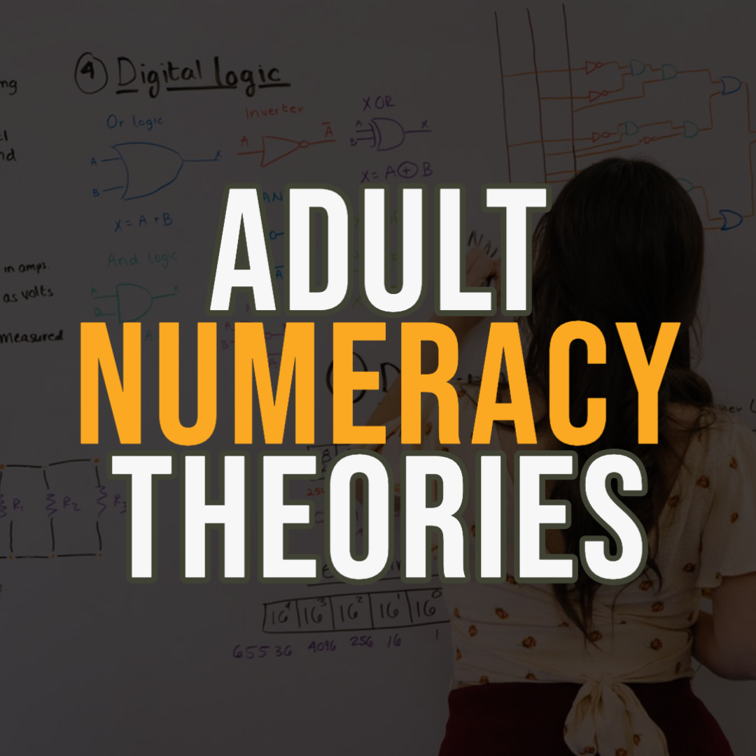 What Are Adult Numeracy Theories? Here Are 3 Notable Ones You Need To Know Now