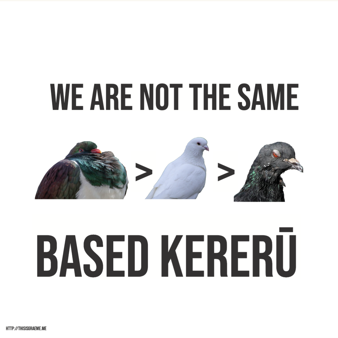 Based Kererū… He’s A Badass and He’s Talking 2 You!