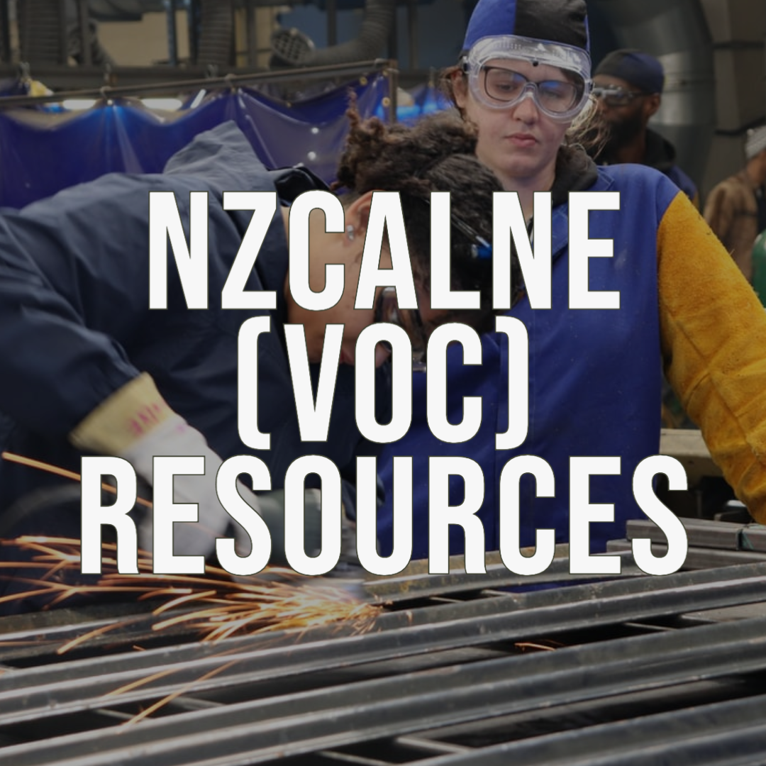 NZCALNE (Voc) Adult Literacy And Numeracy Professional Development Resources – 3 Seriously Great Resources