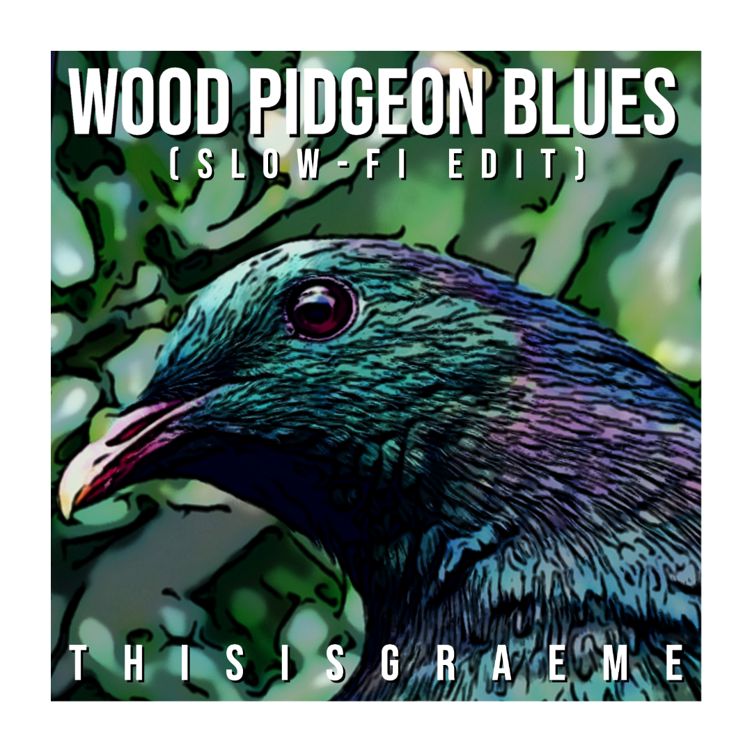 WOOD PIDGEON BLUES (SLOW-FI EDIT) – by THISISGRAEME is Out Now On Spotify, Youtube and All Good Music Media