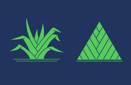 Tapatoru Ako Professional Practice: Empowering Tertiary Education with Ako Aotearoa’s Innovative Programme