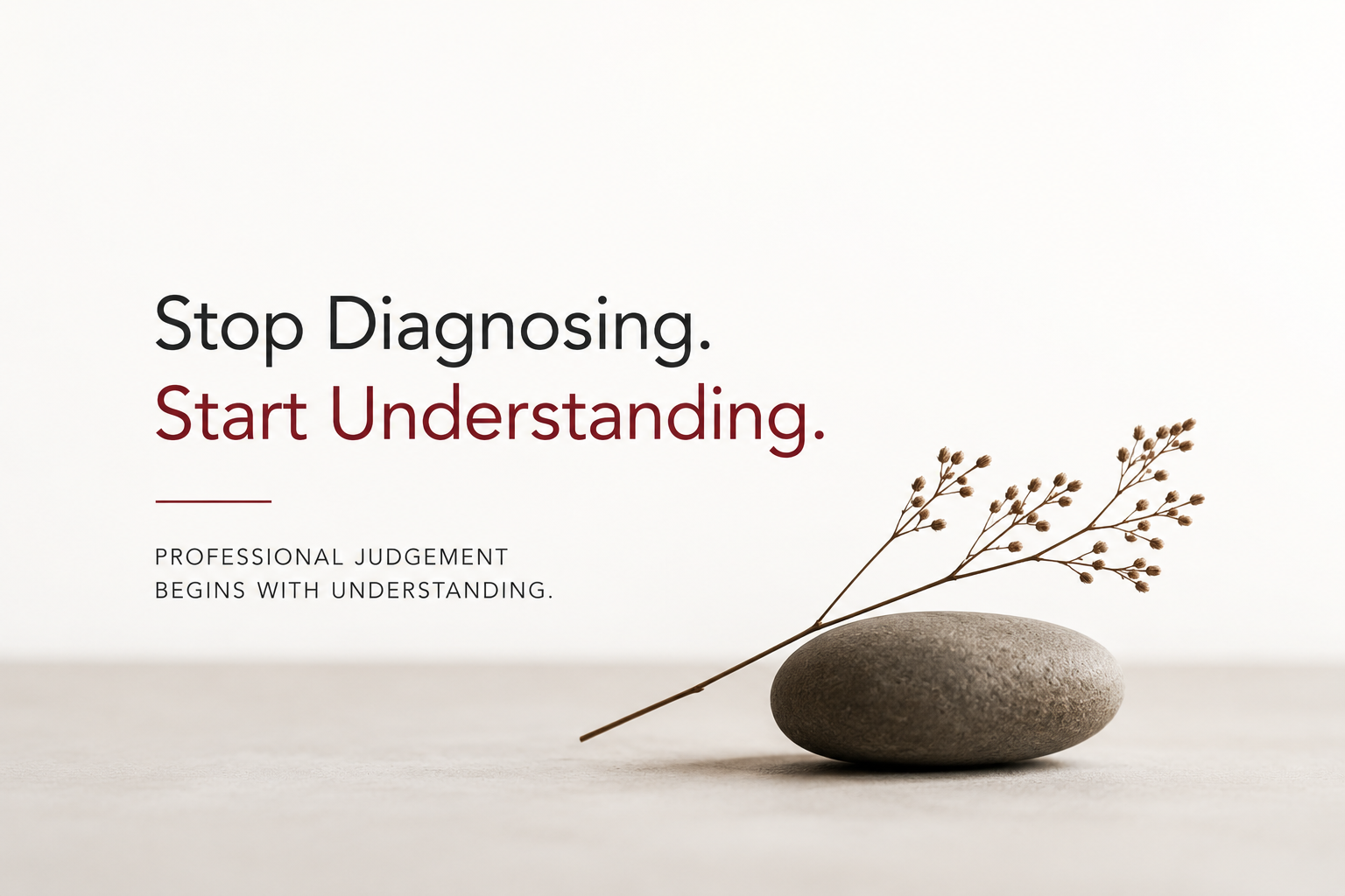 Minimal field note graphic reading Stop Diagnosing. Start Understanding. with a branch resting on a stone.